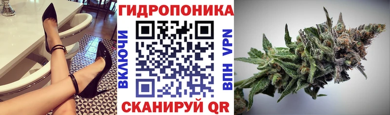 Шишки марихуана White Widow Терек